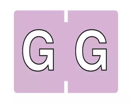 File Folder Label G