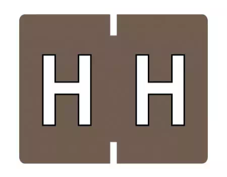 File Folder Label H