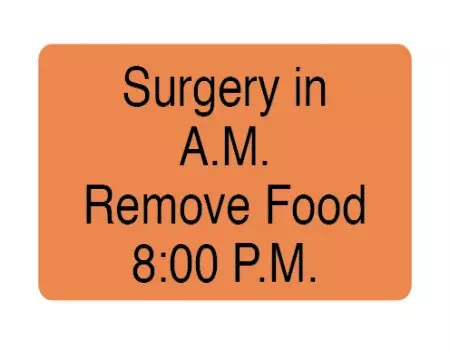 Label, Surgery in A.M. Remove Food 8:00 P.M.