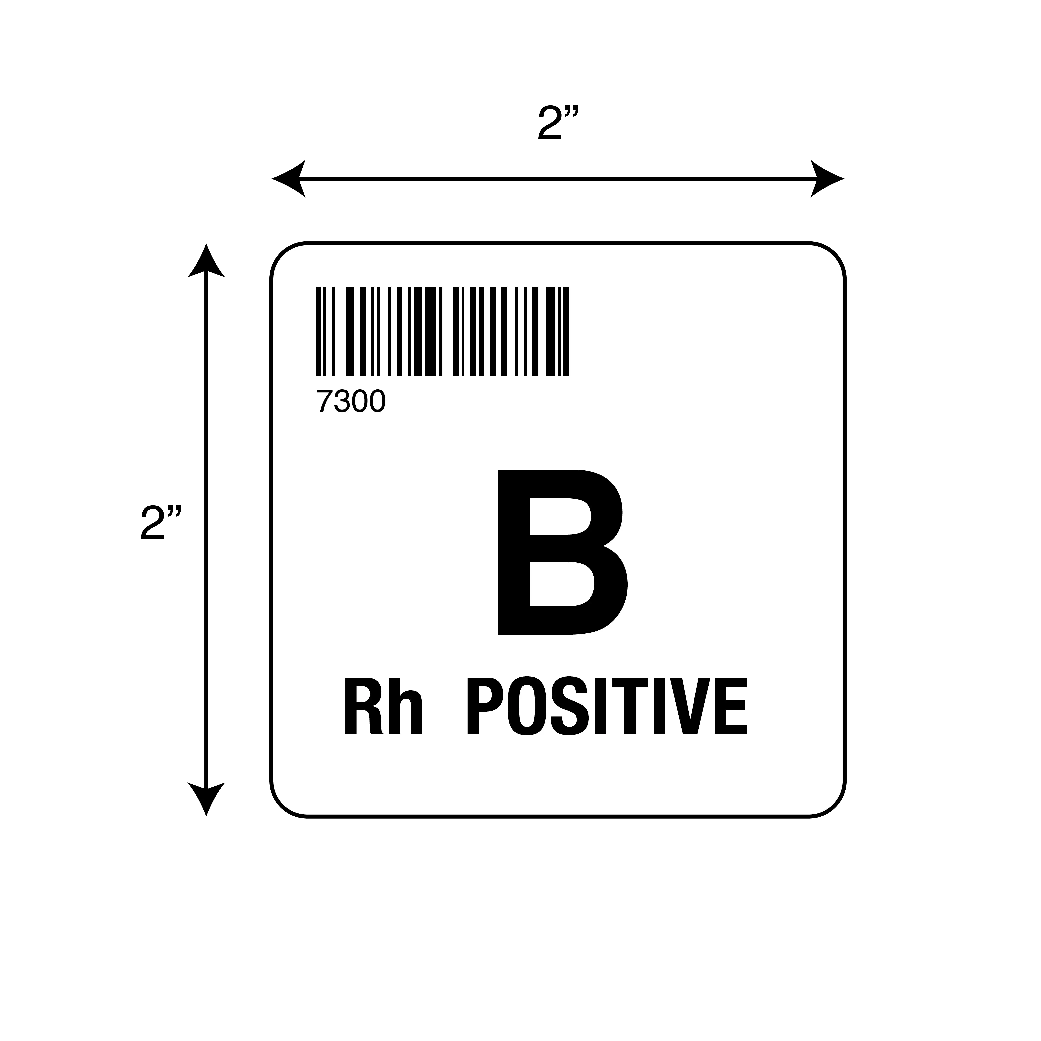 ISBT 128 B Rh Positive