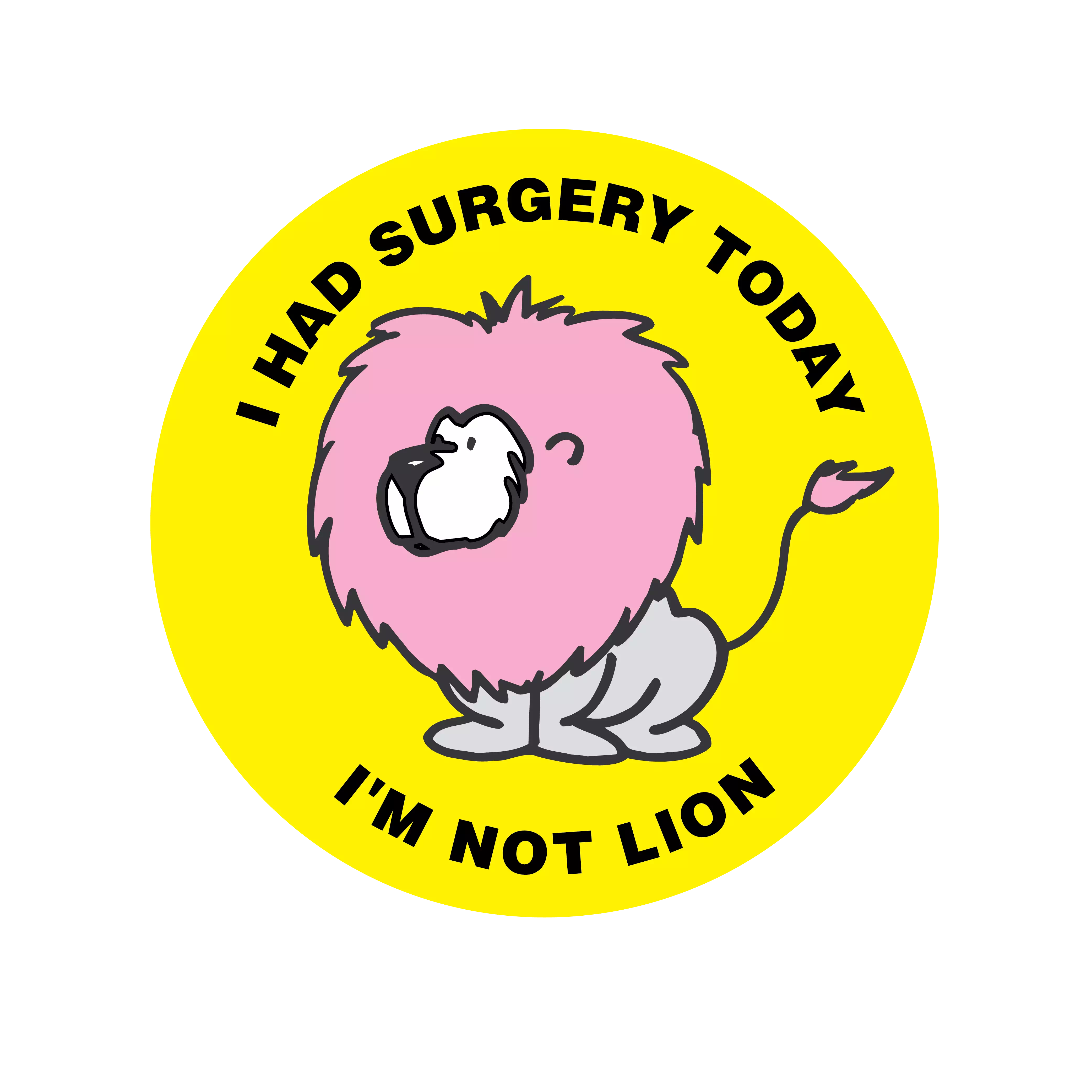 I Had Surgery Today I'm Not Lion