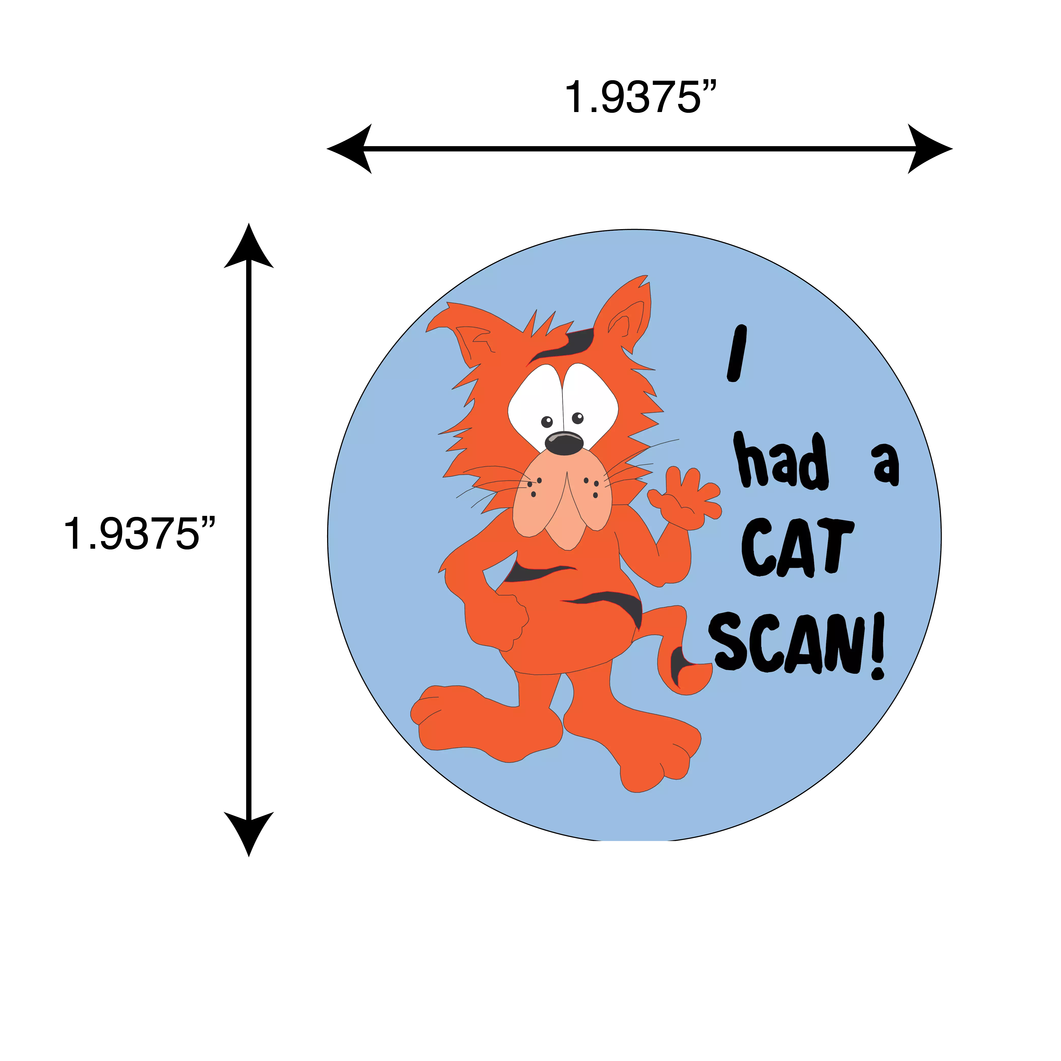I Had A Cat Scan