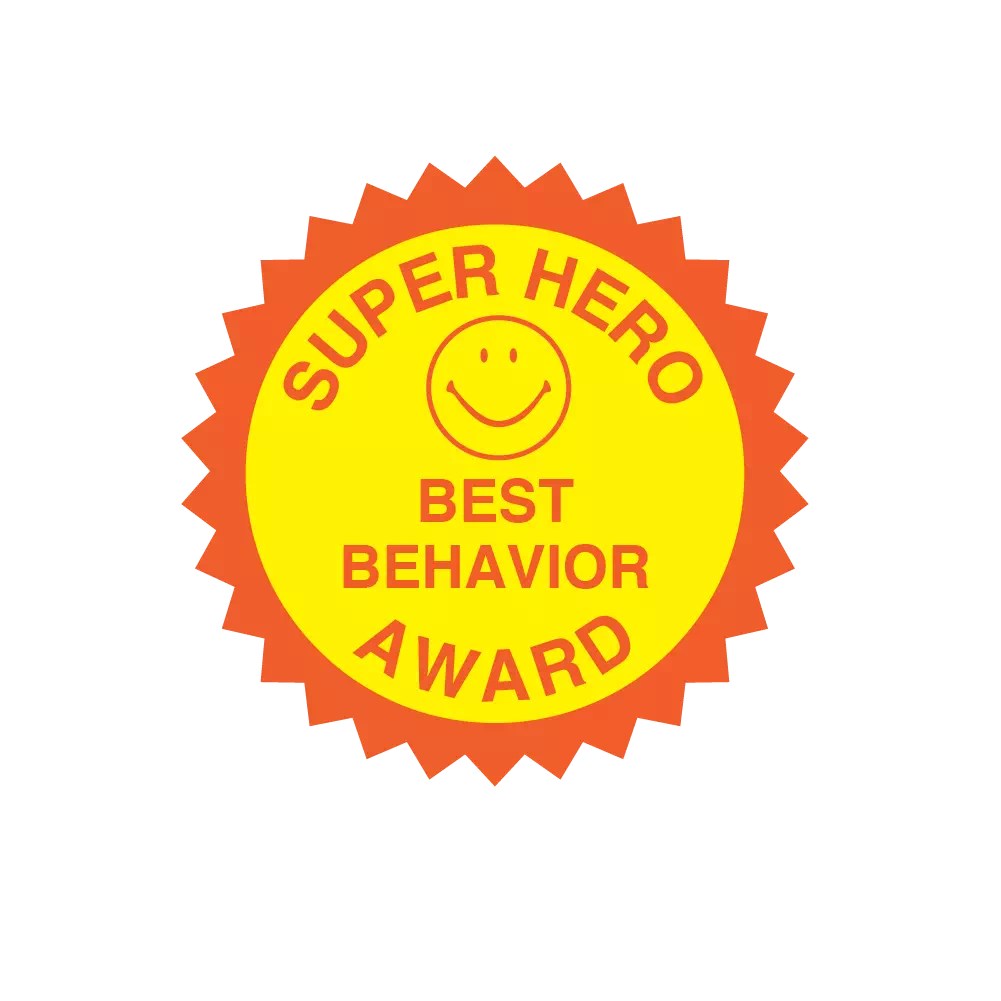 Super Hero / Best Behavior Award