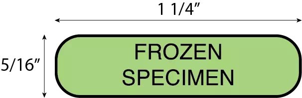 Frozen Specimen