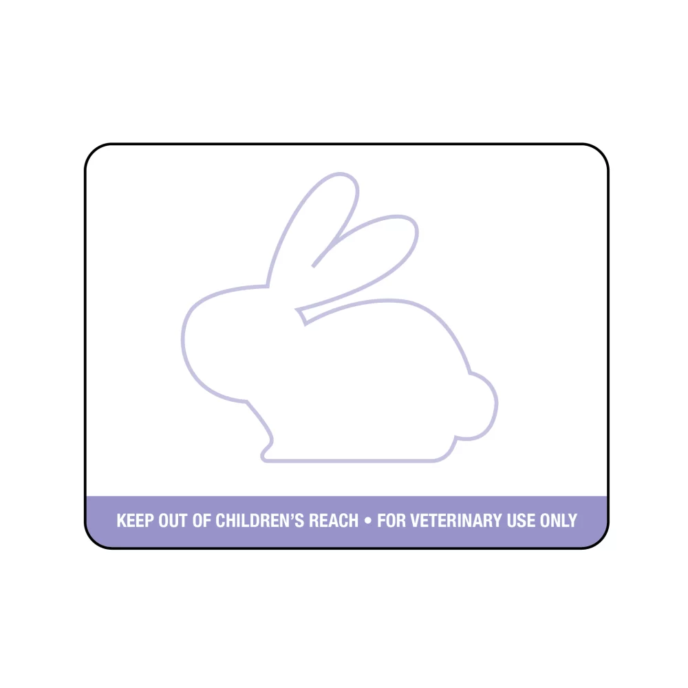 Dymo Prescription Label w/Easter Bunny