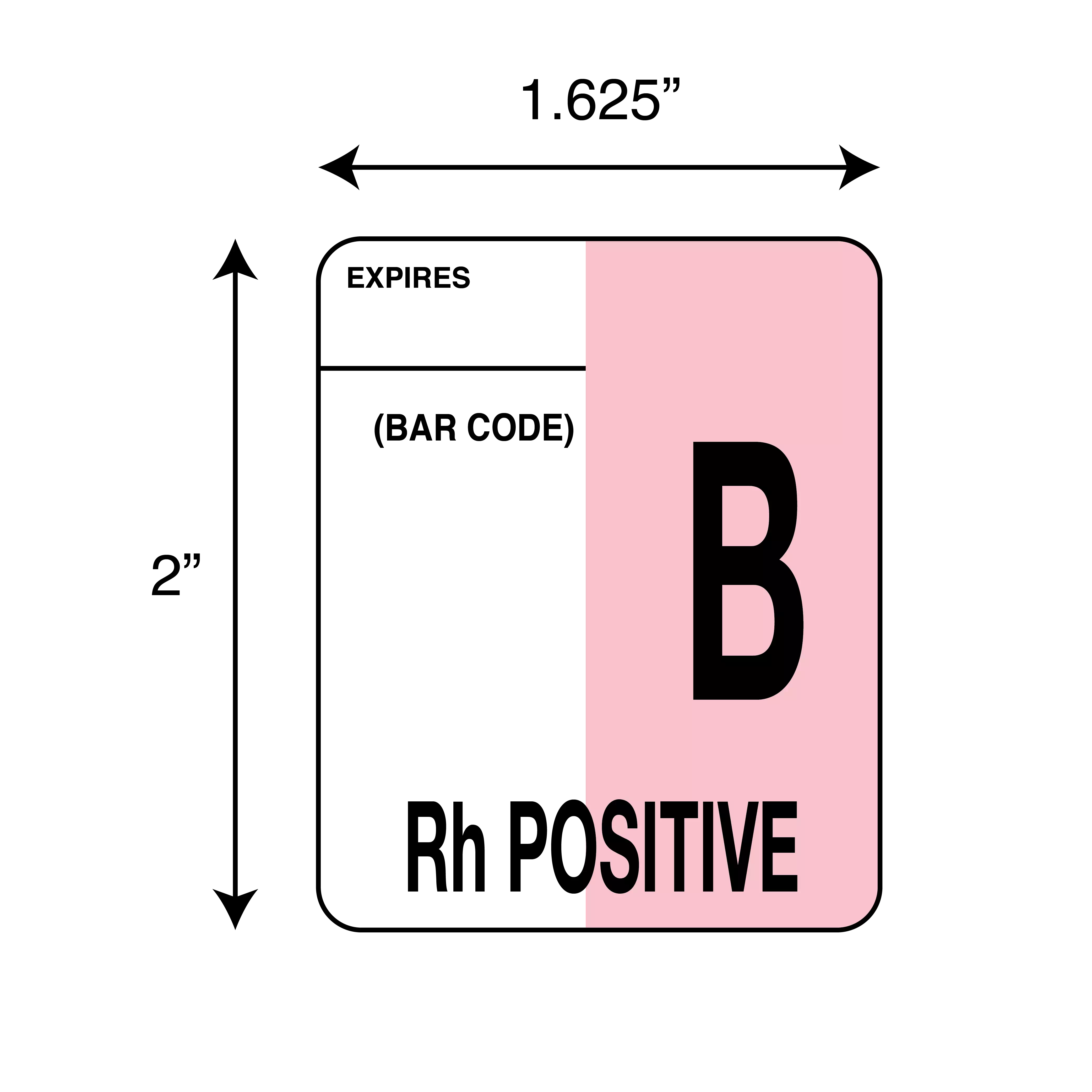 Label, B Rh Positive