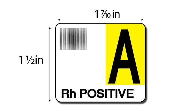 Label, A Rh Positive