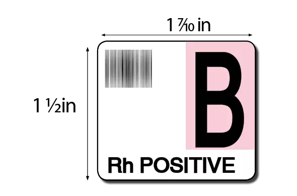 Label, B Rh Positive
