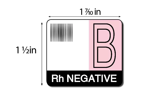 Label, B Rh Negative