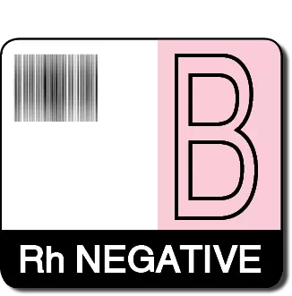 Label, B Rh Negative