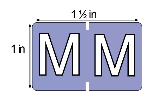 File Folder Label M