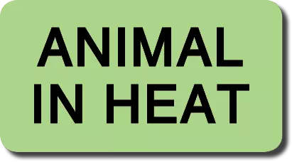 Label, Animal In Heat