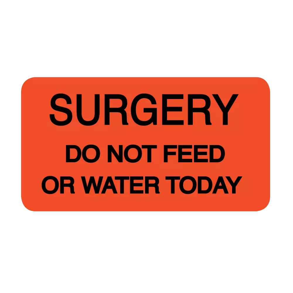 Label, Surgery Do Not Feed or Water Today