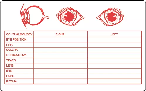 Eye Exam Label