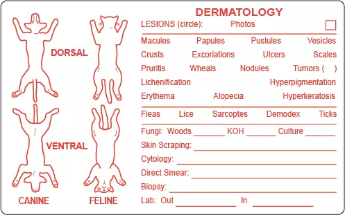 Dematology Canine Feline Label