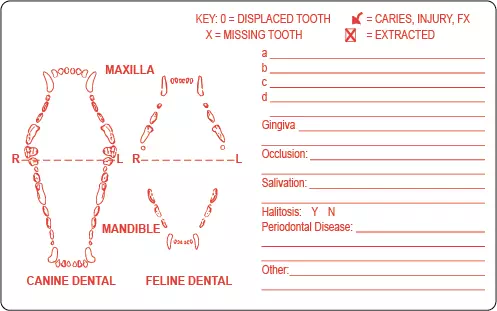 Dental Label