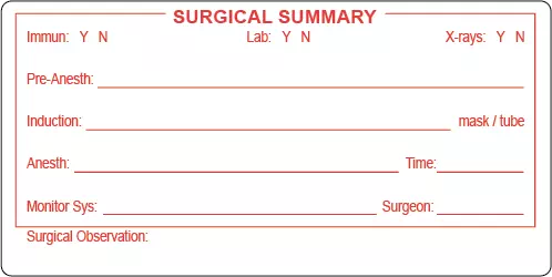 Label, Surgical Summary Pre-Anesth - White w/Red