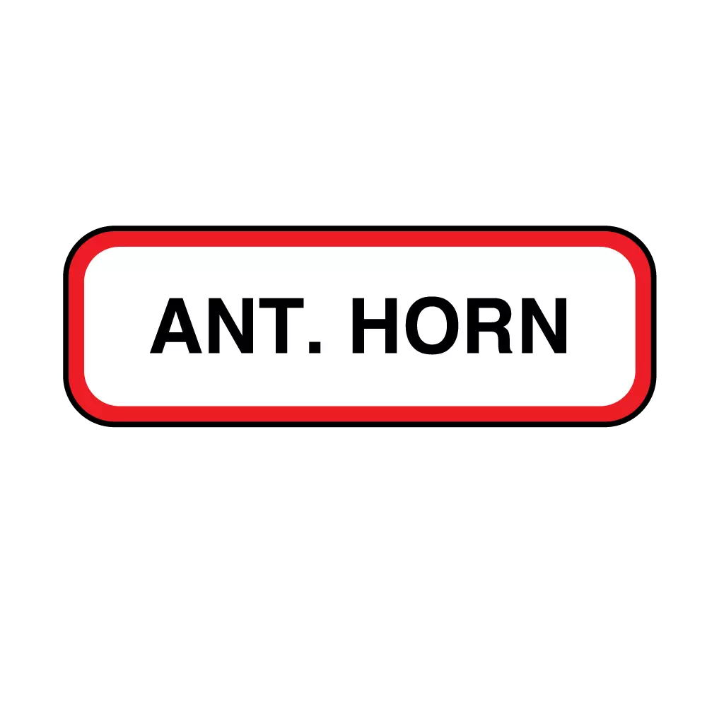 Position Labels - Ant. Horn