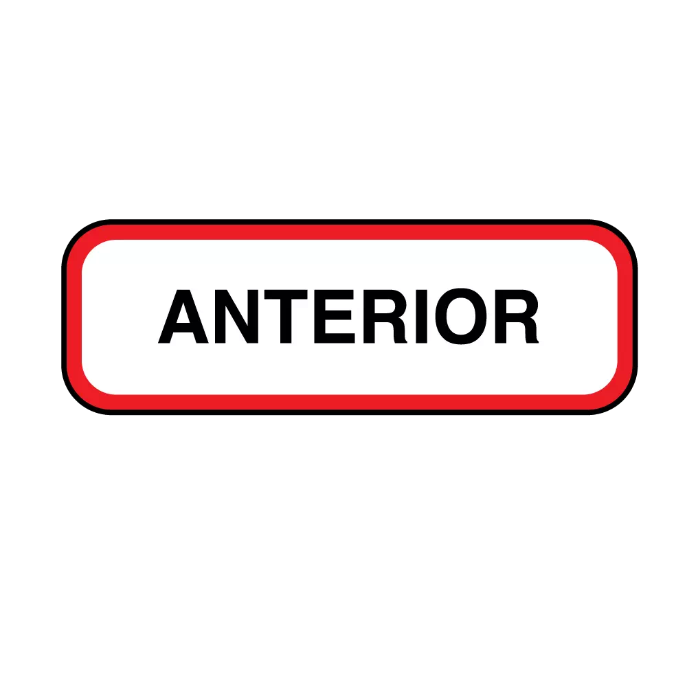 Position Labels - Anterior