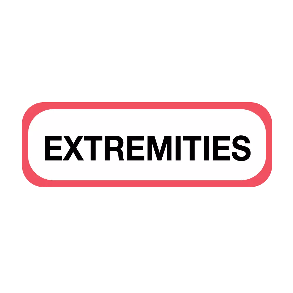 Position Labels - Extremities