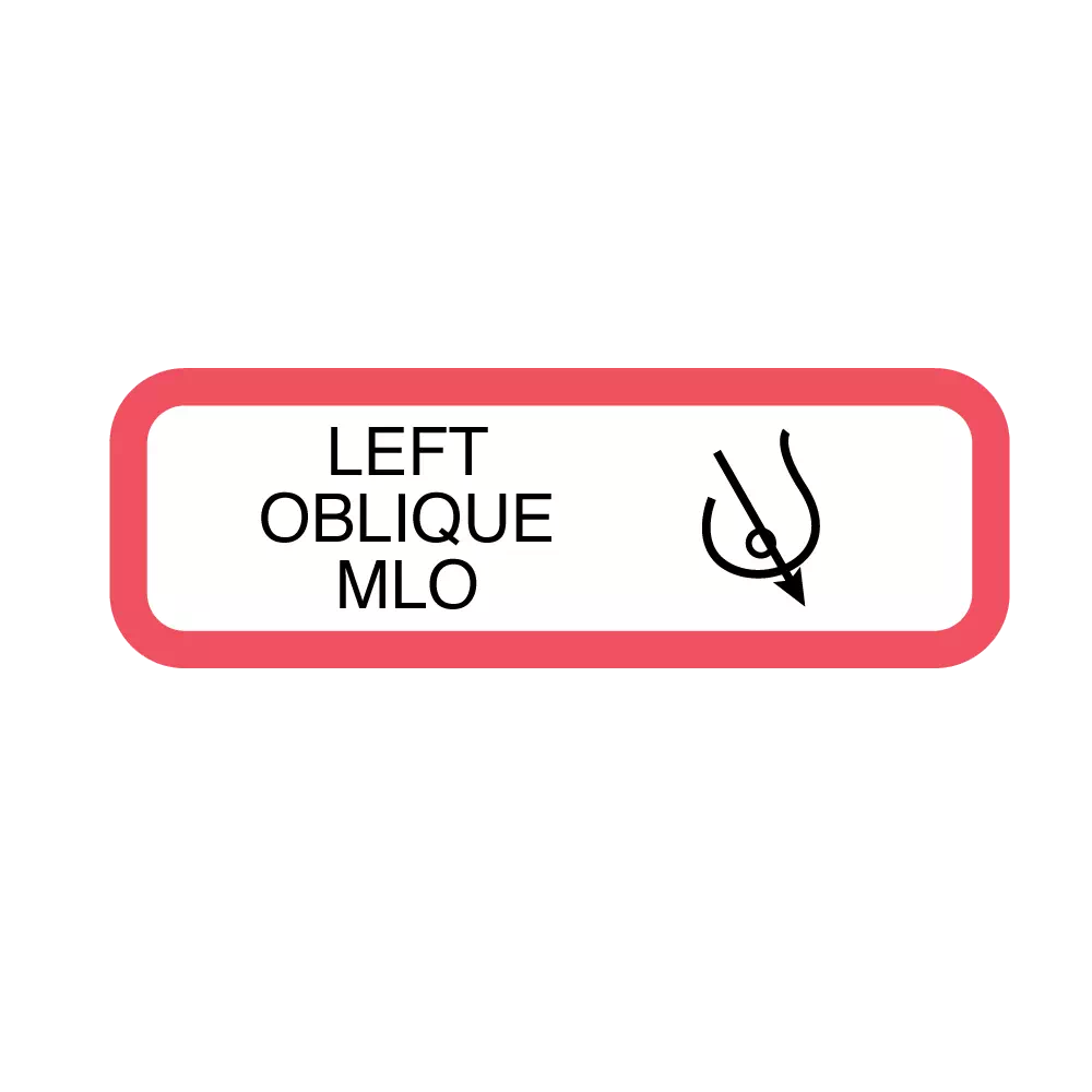 Position Labels - Left Oblique