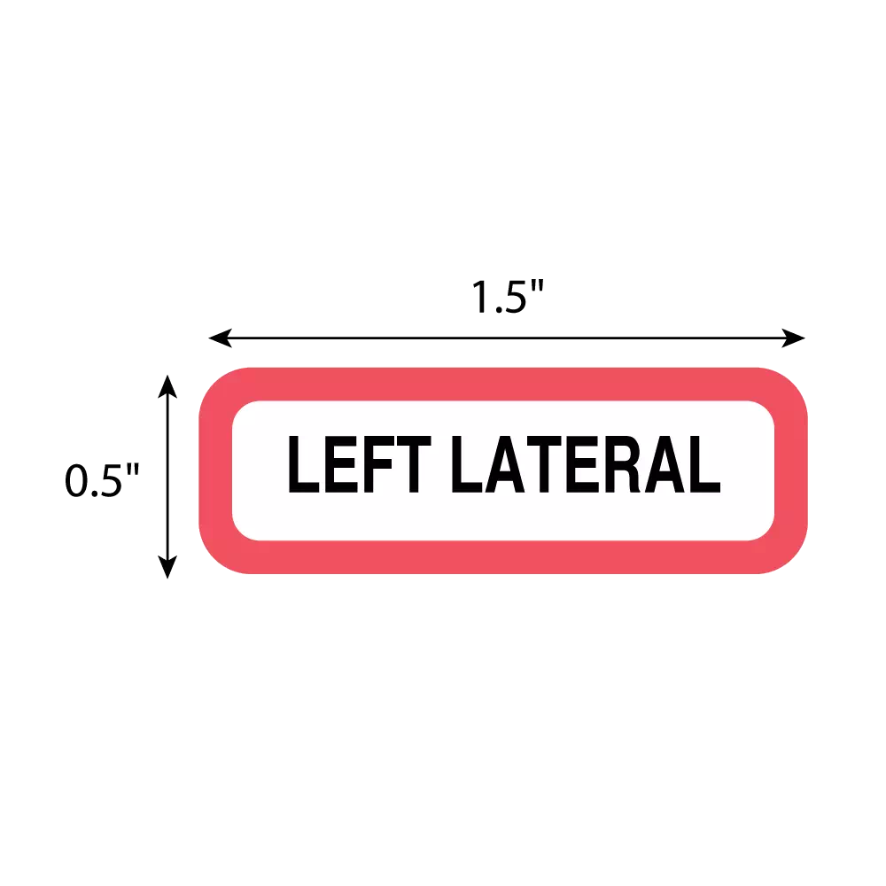 Position Labels - Left Lateral