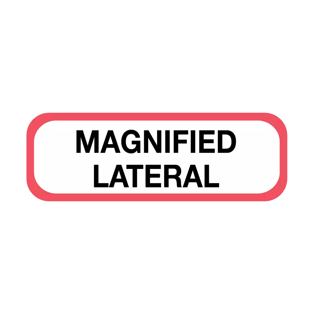 Position Labels - Magnified Lateral