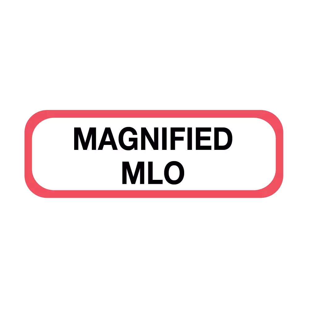 Position Labels - Magnified MLO