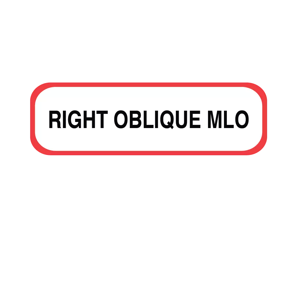 Position Labels - Right Oblique MLO