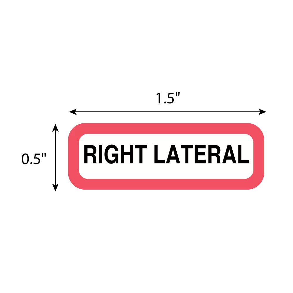 Position Labels - Right Lateral