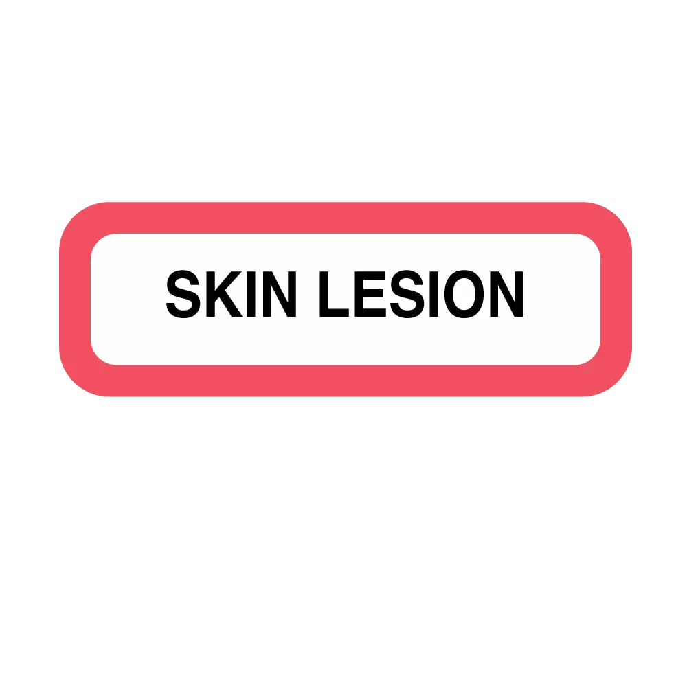 Position Labels - Skin Lesion